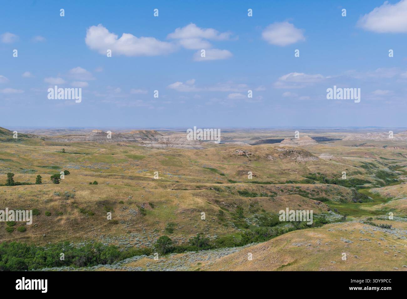 Die erodierten Grasslands und farbenfrohen Schichten des East Block Badlands erheben sich unter einem klaren blauen Himmel aus der Prärie. Stockfoto