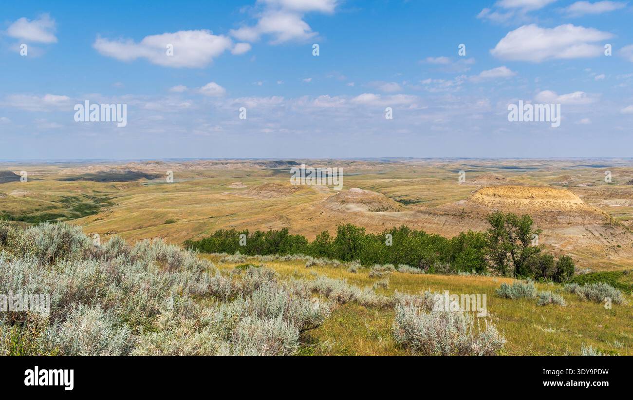 Lebhafte Sedimentschichten zeichnen sich durch die erodierte Landschaft des East Block of Grasslands National Park aus, wo sich die Steilküche zum Horizont hin erstrecken. Stockfoto