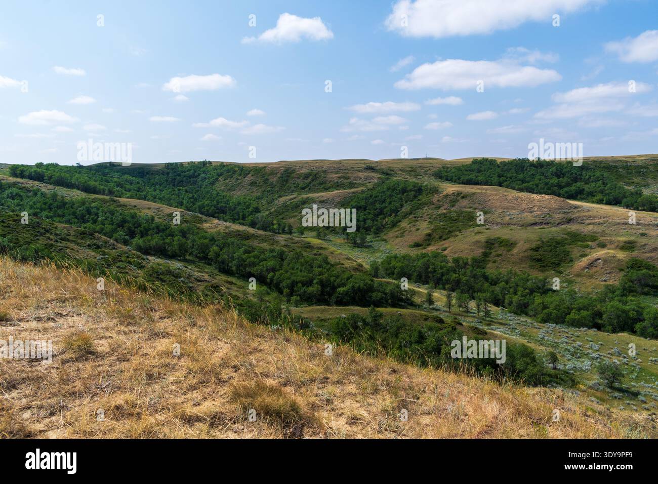 Die erodierten Hügel des Grassland National Park's Badlands werden durch Sommergrün gemildert. Stockfoto