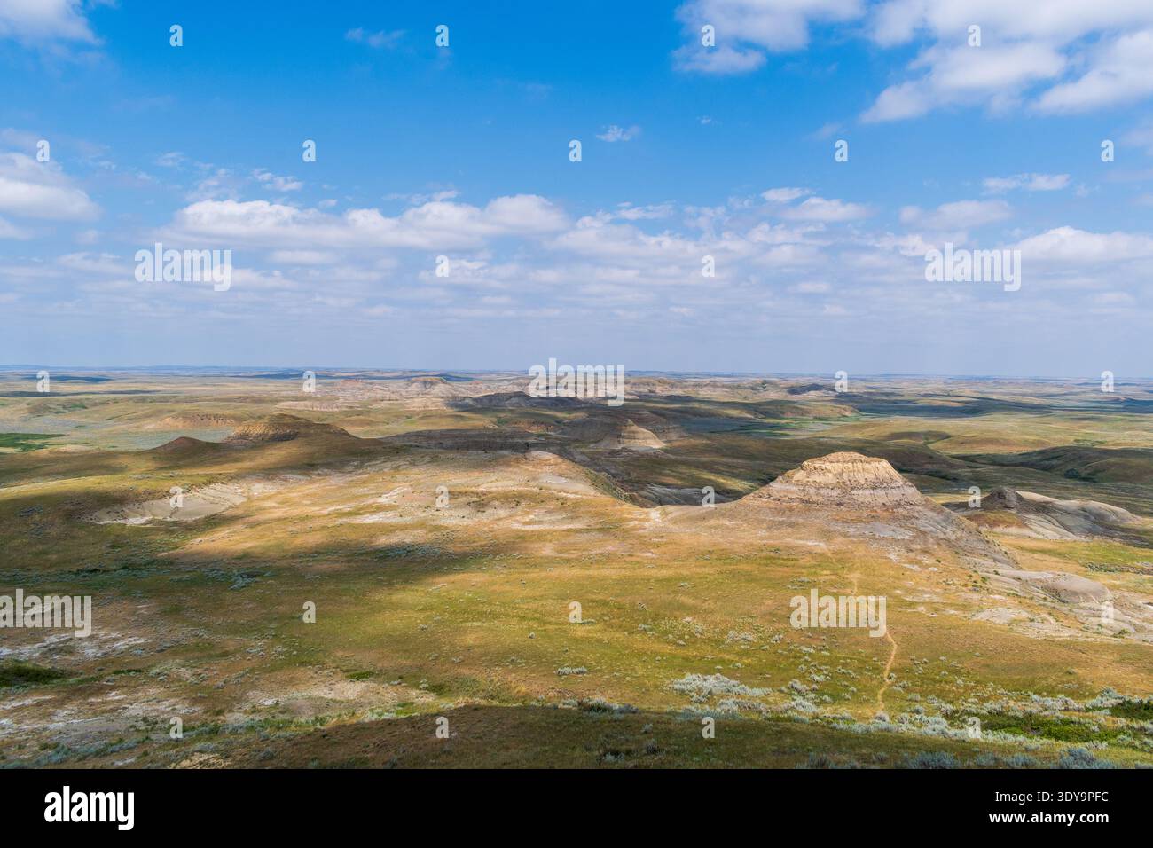 Bänder freiliegender Sedimente wickeln sich um die Äste und Grate und schaffen eine Landschaft voller Textur und natürlicher Farbe im Grasslands National Park. Stockfoto