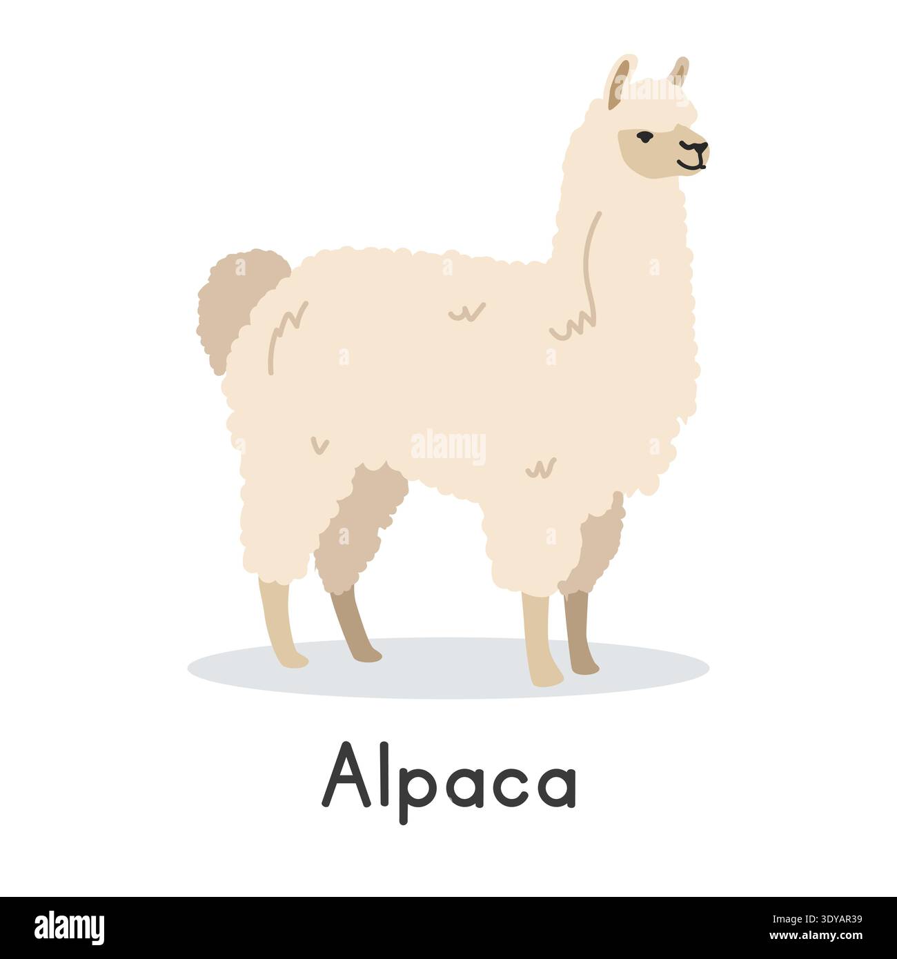 Alpakavektor-Illustration. Niedliches Alpaka-Zeichentrick-Clipart, Tier im flachen Stil. Nutztierkonzept, ländliche Landwirtschaft. Viehtier-Alpakavektor Stock Vektor