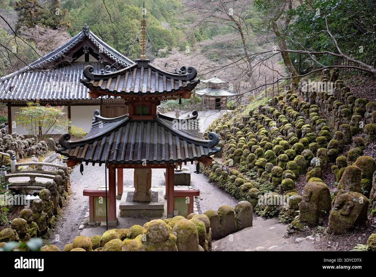 Kyoto, Japan - Januar 2026: Schrein und umliegende Rakan-Statuen im Otagi Nenbutsu‑JI-Tempel, weite Ansicht von moosbedeckten Figuren Stockfoto
