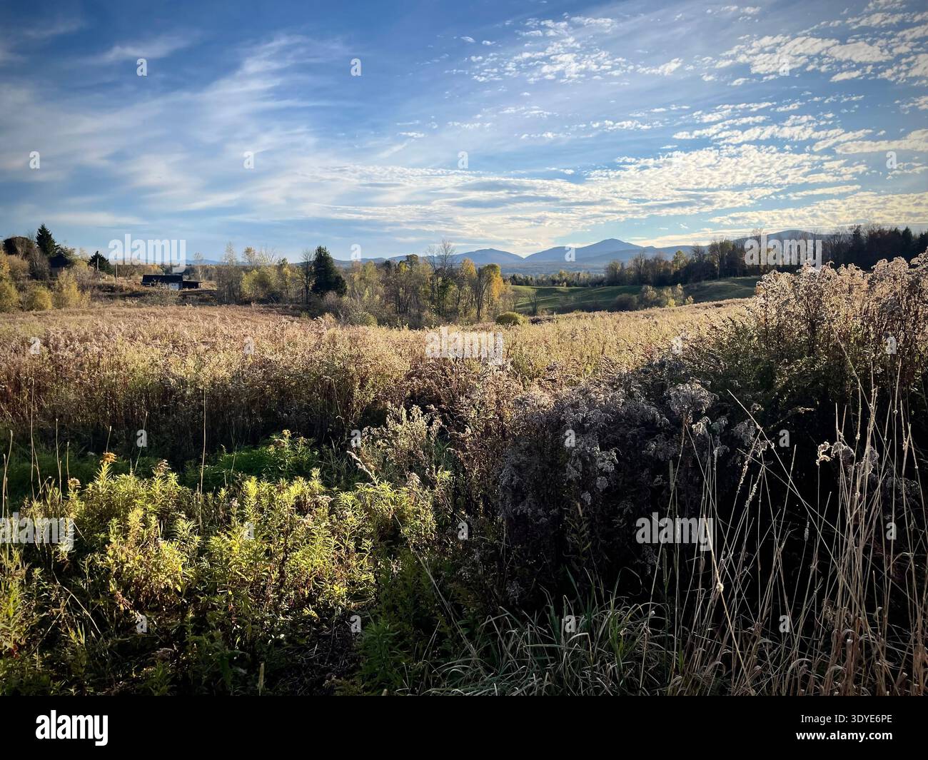Kanada Outdoor indian Sommer. Stockfoto