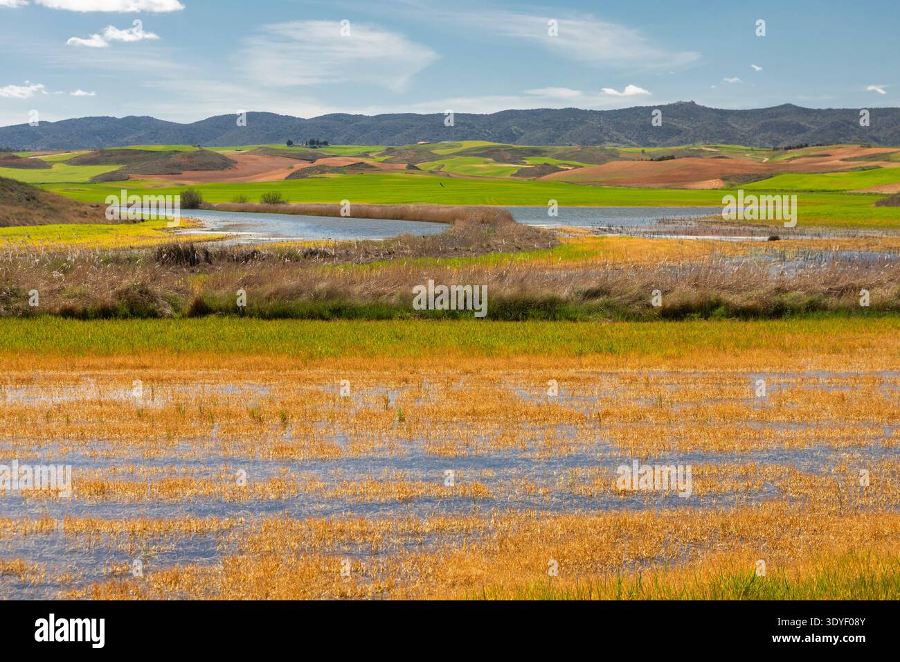 Felder um Huete, Cuenca, Spanien Stockfoto