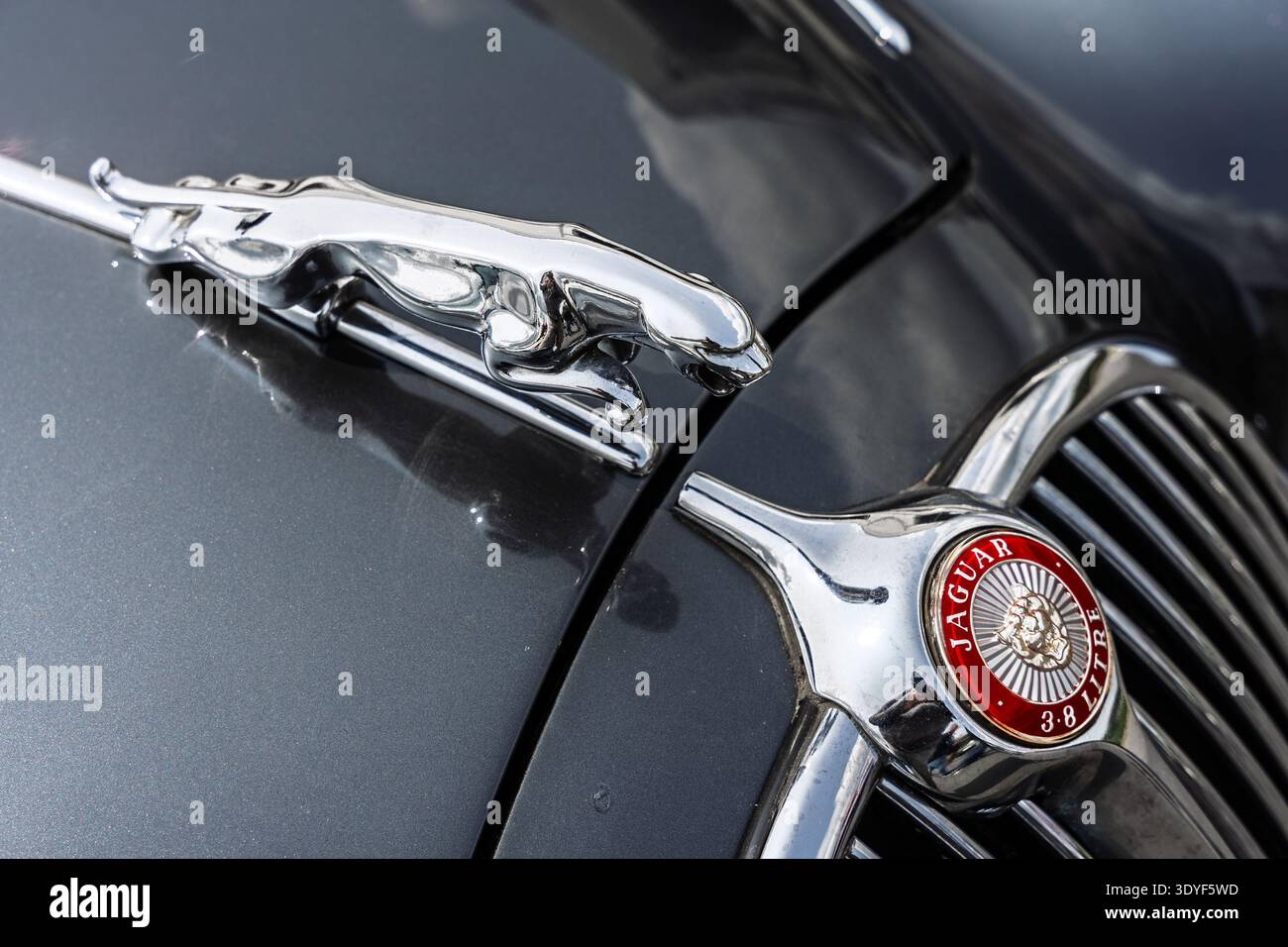 LINTHE, DEUTSCHLAND - 08. JUNI 2025: Jaguar Mark 2 3,8 Liter, 1959–1967, Nahaufnahme des legendären Jaguar „Leaper“-Verzichts auf die Motorhaube. Stockfoto