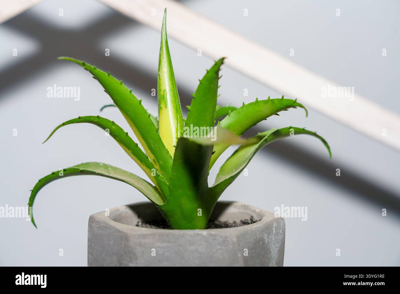 natural aloe vera Organic Aloe Vera Gel main image 0