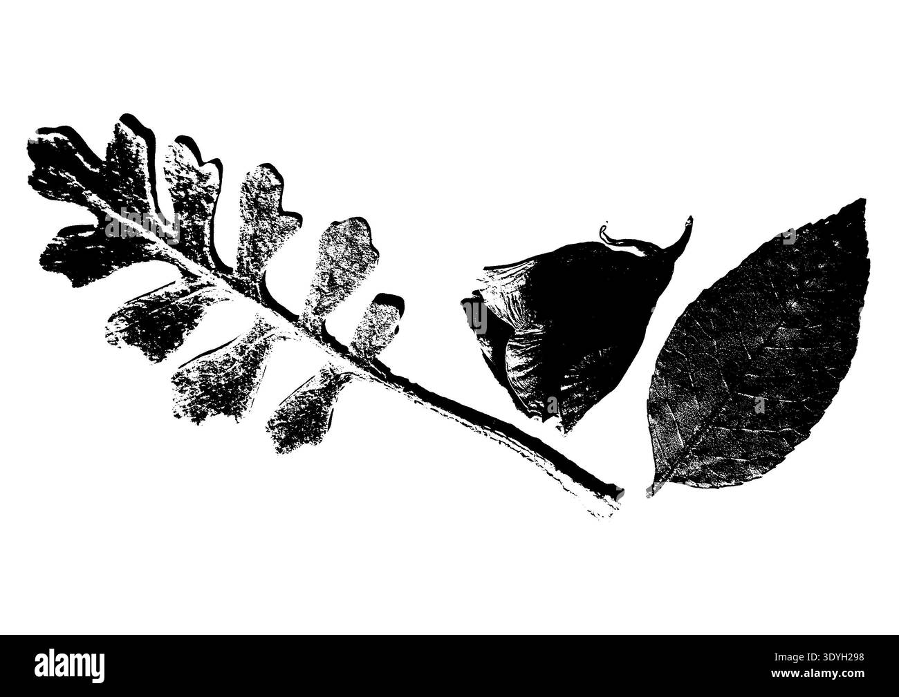 Schwarze Tinte botanische Stempel von Waldblättern und eine Rosenknospe. Handgezeichneter Linolschnitt auf weißem Hintergrund für minimalistisches organisches Design, Blumenmuster und umweltfreundliche Branding-Projekte. Stockfoto
