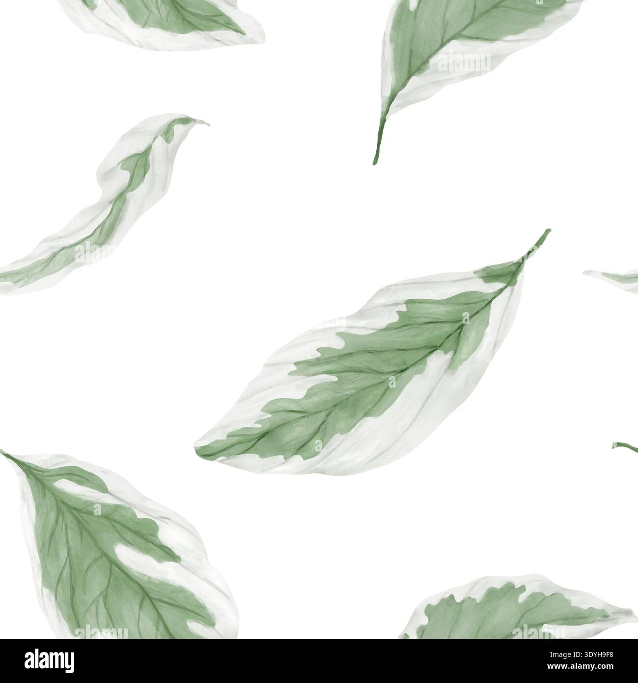 Blätter, nahtloses Muster. Digitale Illustration mit Aquarell. Elfenbein Halo, Frühlingslaub isoliert auf Hintergrund. Für Karten, Einladungen, Garten, Sommer V Stockfoto