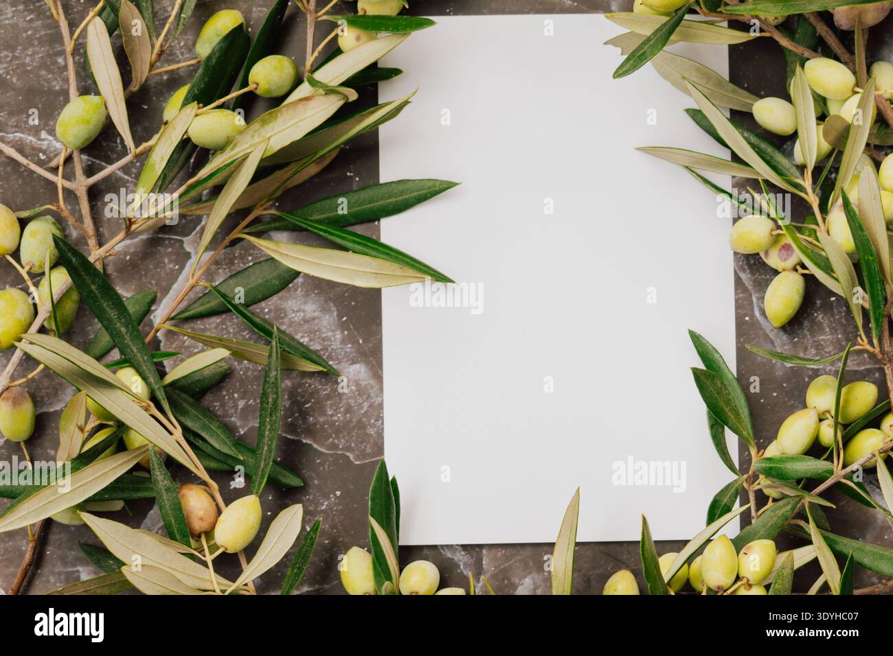 Premium-Olivenöl-Branding mit frischen grünen Oliven auf Marmor. Leere weiße Karte für Logo-Text Stockfoto