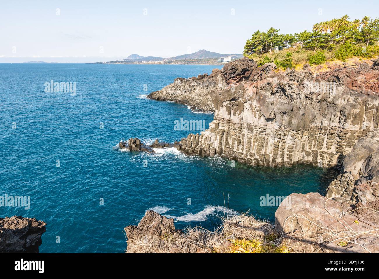 Landschaft der Daepo Jusangjeolli Cliff auf der Insel Jeju, Südkorea Stockfoto