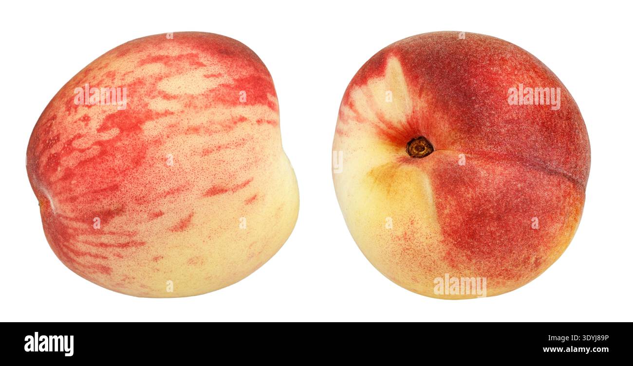 Zwei reife flache Pfirsiche isoliert auf weißem Hintergrund. Auch bekannt als Donut-Pfirsich oder Saturn-Pfirsich. Frische saftige Sommersteinfrucht mit roter und gelber Haut Stockfoto