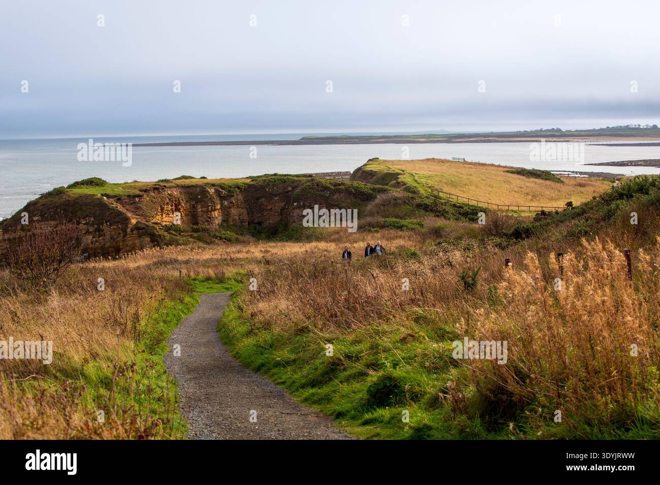 Northumberland Coast Path bei Beadnell. Drei Frauen wandern an einem schönen Tag Mitte Oktober auf dem Coast Path. Stockfoto