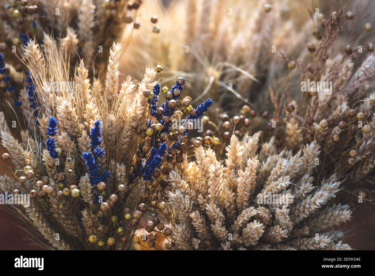Eine Nahanordnung aus getrocknetem Weizen, Lavendel und natürlichen Gräsern, die eine rustikale Blumenkomposition mit warmen Erdtönen und einer weichen Textur bilden Stockfoto
