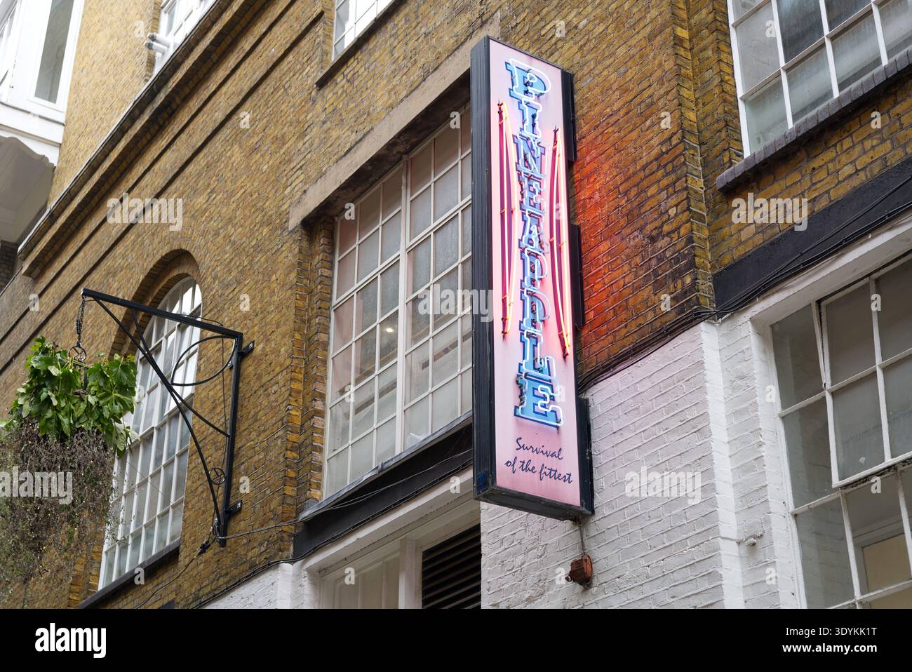 Der Vordereingang der Pineapple Dance Studios in Covent Garden. London - 8. März 2026 Stockfoto