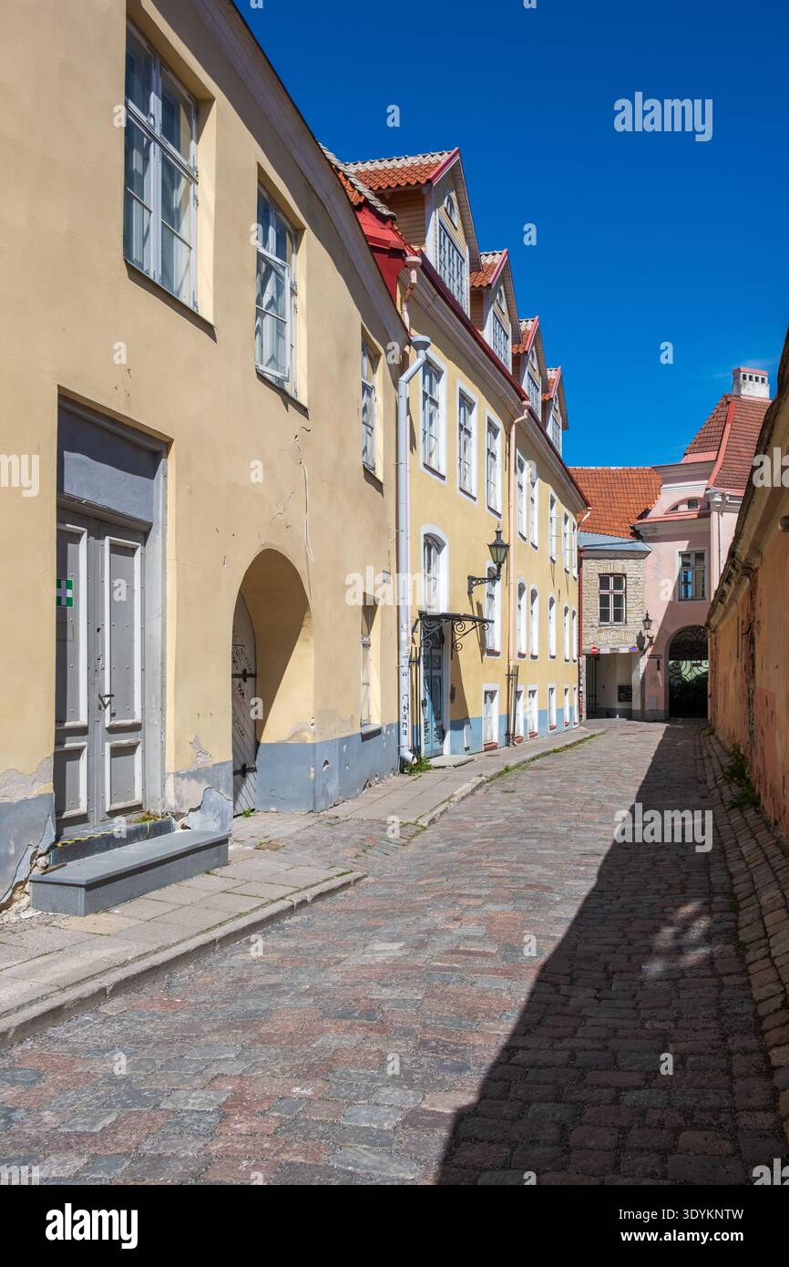 Kopfsteinpflasterstraße mit historischen Pastellhäusern in der Altstadt von Tallinn im mittelalterlichen Viertel Tallinn, Tallinn, Estland Stockfoto