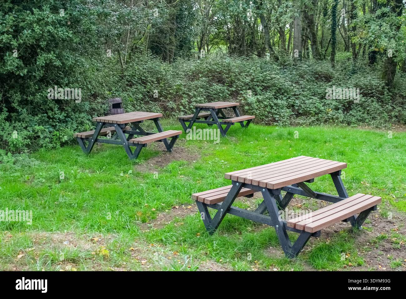 Ein ruhiger Picknickbereich im Freien mit drei Holzleisten mit dunkelgrauen Metallrahmen. Stockfoto