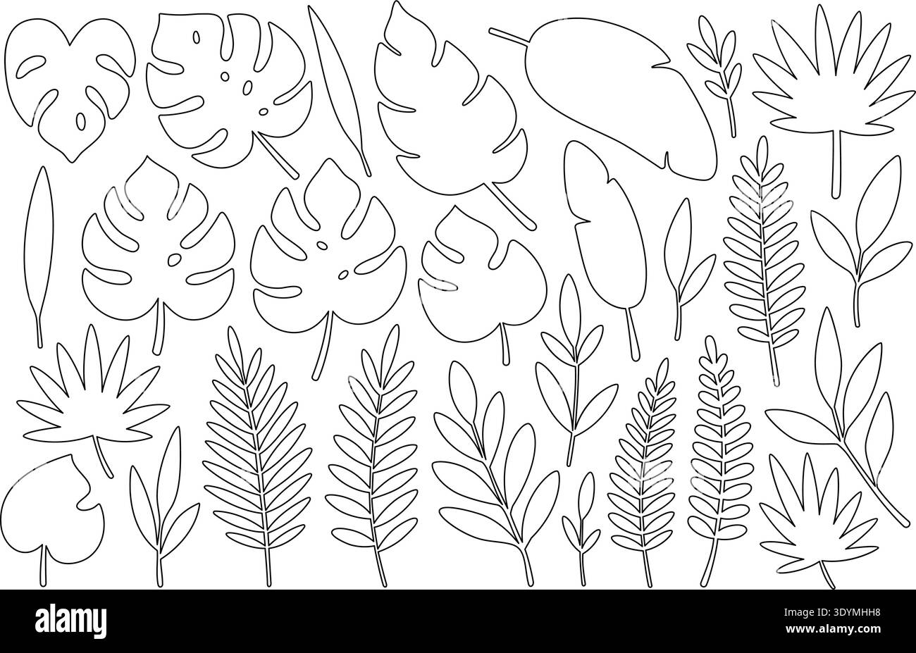 Verschiedene tropische Blätter umranden. Detaillierte Zeichnungen für botanische Malbücher, Muster und kreative Vektorentwurfprojekte Stock Vektor