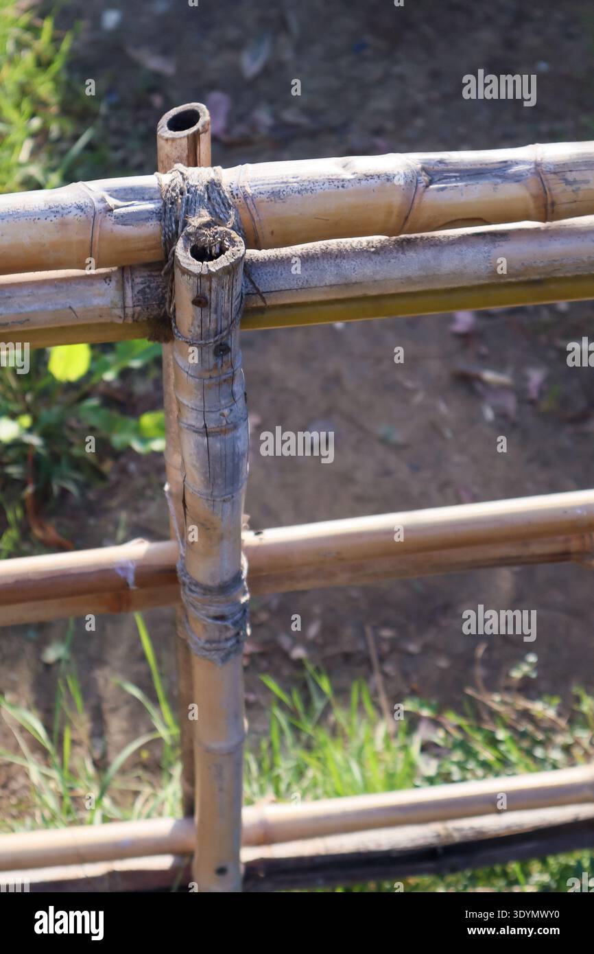 Natürliche Bambusbarriere aus geknüpften Stangen, umgeben von frischen grünen Pflanzen auf fruchtbarem Boden. Stockfoto