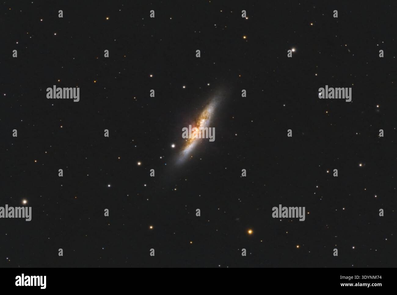 Messier 82 Starburst Galaxy: Astrofotografie der Zigarrengalaxie NGC 3034 mit aktiver Sternentstehung im Tiefenraum bei Ursa Major Stockfoto
