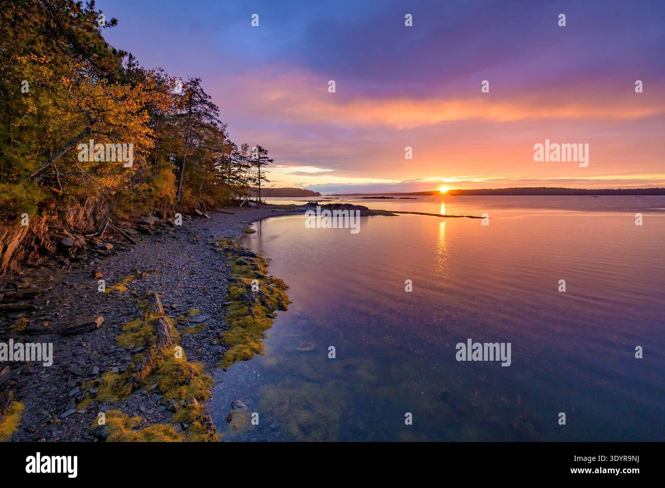 Goldener Sonnenuntergang über ruhigen Küstengewässern und Rocky Shoreline Stockfoto