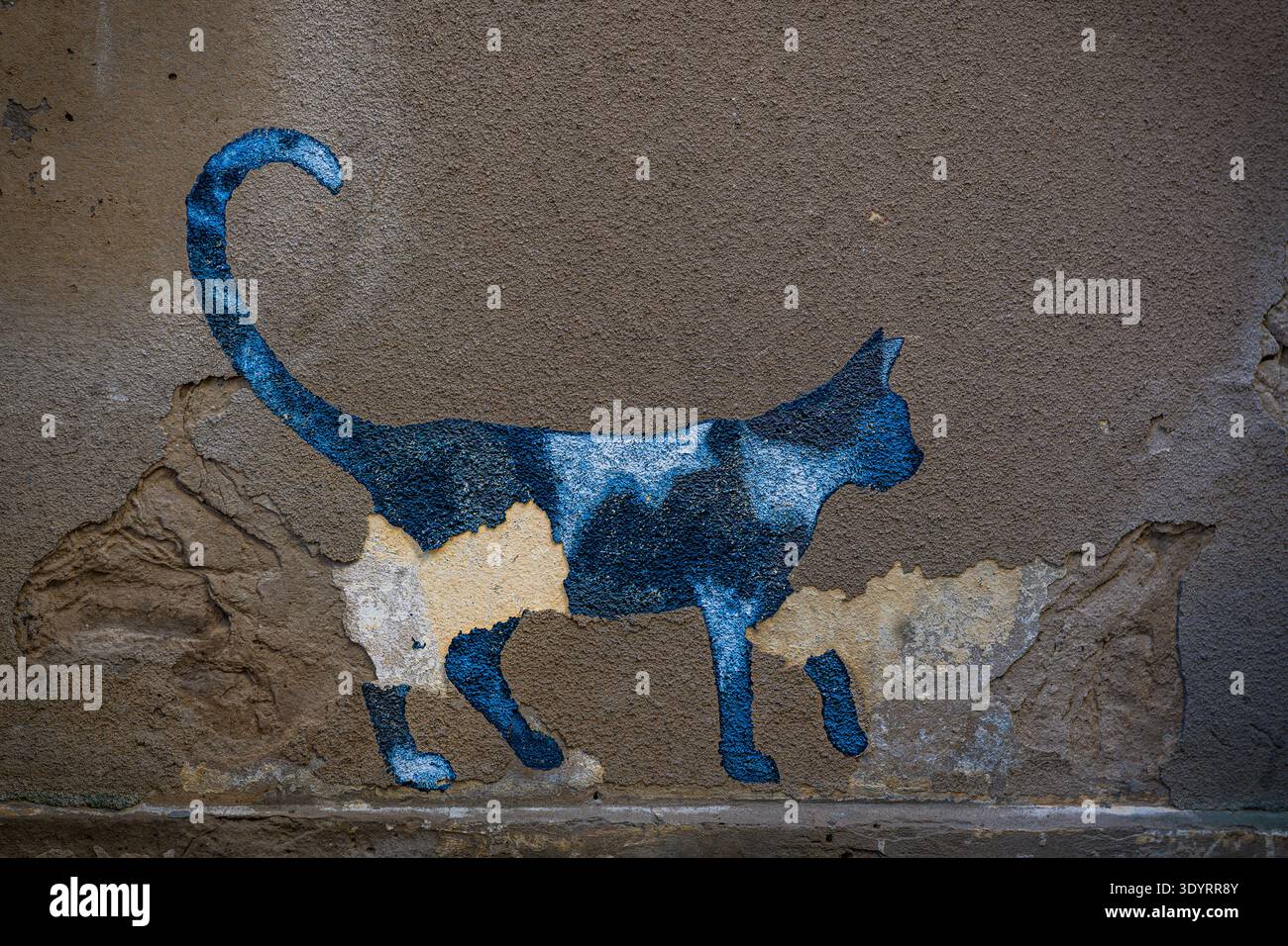 Blaue Katze Street Art an der alten Wand, Marijampolė, Litauen Stockfoto