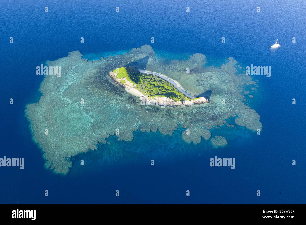 Ein flaches Korallenriff befindet sich rund um eine malerische Insel im Bligh Channel in Fidschi. Fidschis wunderschöne Korallenriffe unterstützen eine hohe biologische Vielfalt der Meere. Stockfoto