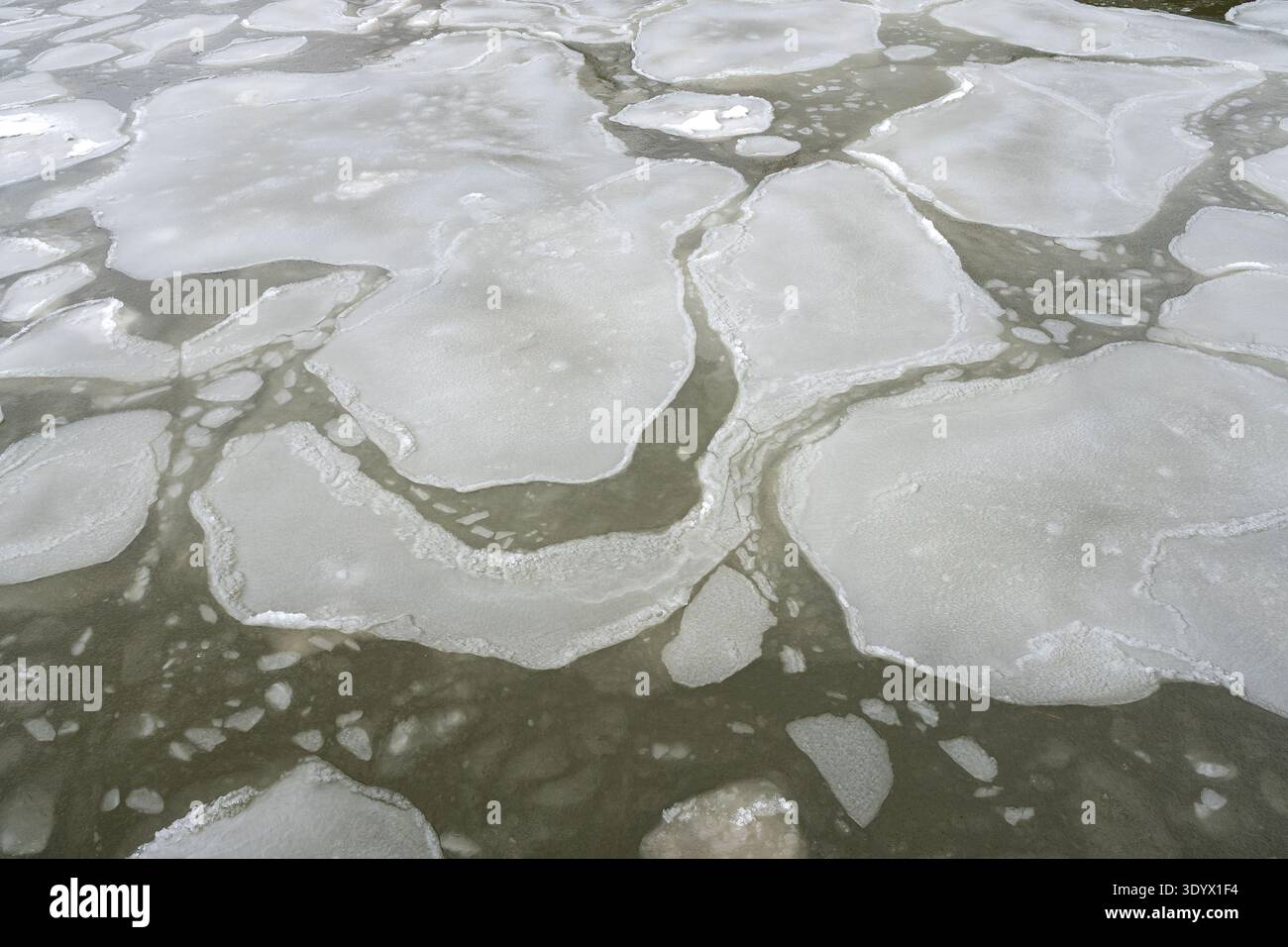 Eisschollen auf dem Meer Stockfoto