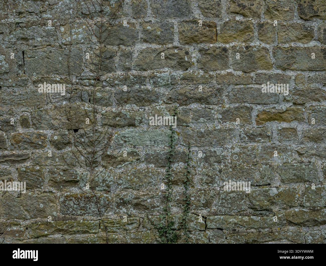 Alte Kalksteinblockwand mit Natursteingemauern Stockfoto