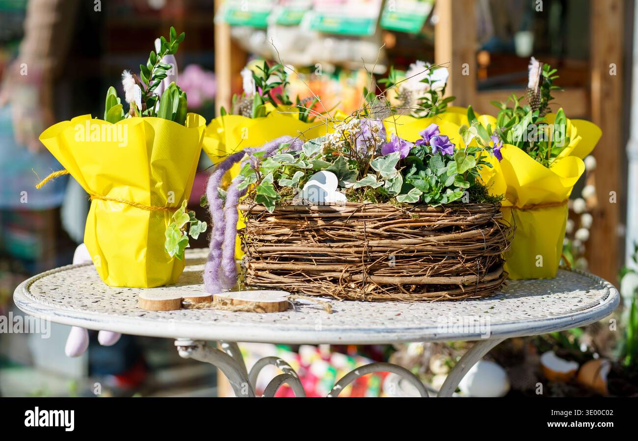 Frühlingsblumenkomposition mit Efeu, Moos und kleinen Blüten im Korb. Gartengeschäft mit Dekoration im Osterstil und saisonalen Pflanzen Stockfoto