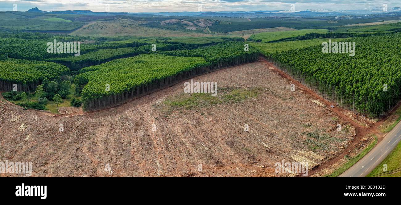 Erdtöne aus der Vogelperspektive treffen auf leuchtende Grüntöne in einem Panorama von Wald und gerölltem Land, White River, Mpumalanga, Südafrika. Stockfoto