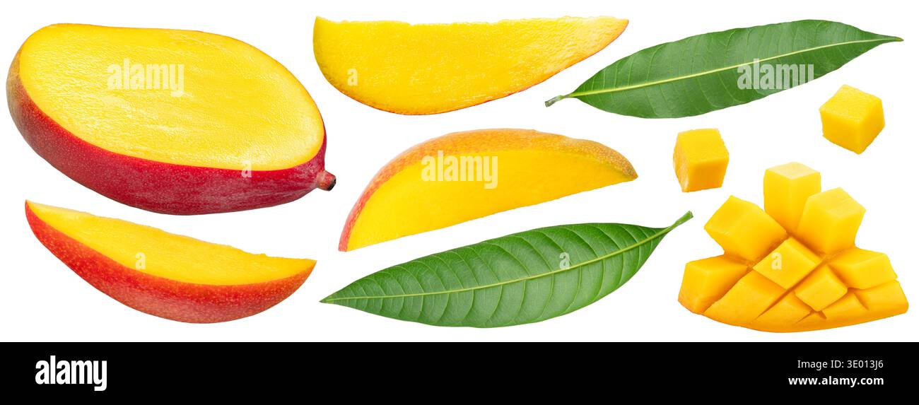 Sammlung von Mangobrüchscheiben mit Mangoblättern isoliert auf weißem Hintergrund. Datei enthält Beschneidungspfade. Stockfoto