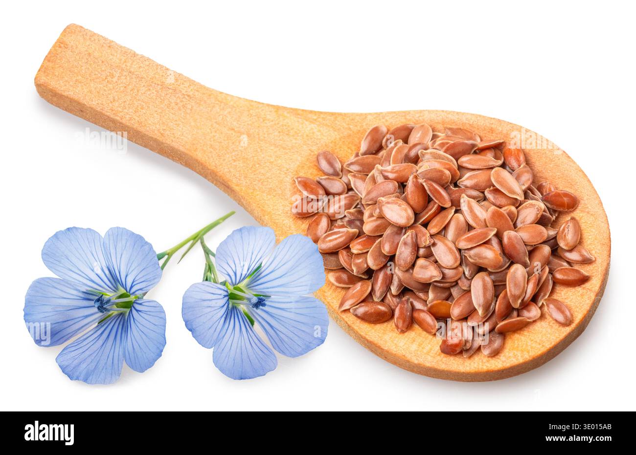 Flachssamen in Holzlöffel und zarte Flachsblüte isoliert auf weißem Hintergrund. Datei enthält Beschneidungspfade. Stockfoto