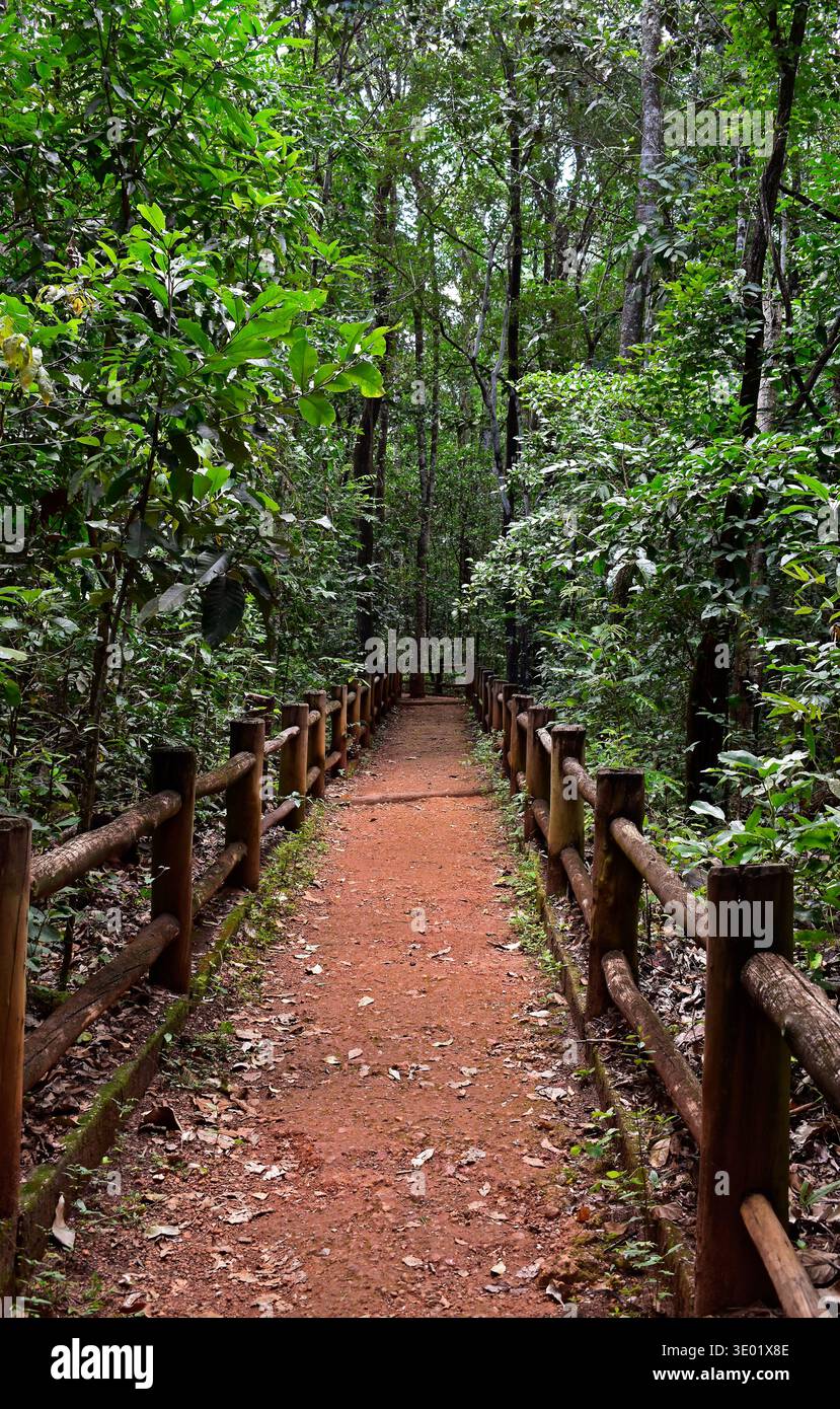 Wanderweg auf einem öffentlichen Park in Brasilia, Federal District, Brasilien Stockfoto