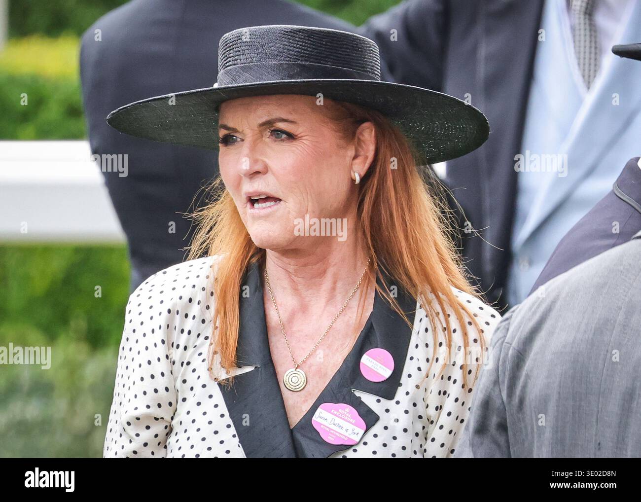 Sarah Ferguson, Herzogin von York, Ehefrau von Prinz Andrew, Royal Ascot, England Stockfoto