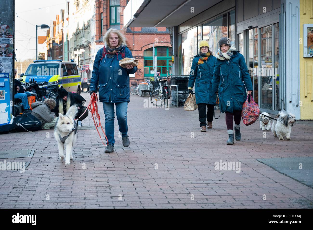 3 Wanderhunde in der Limmerstraße, Hannover, Deutschland Stockfoto