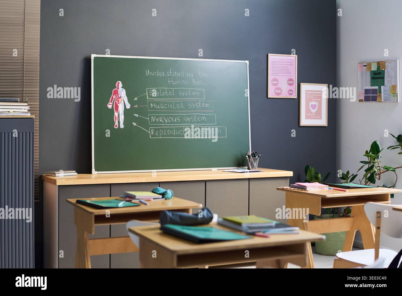 Leerer Schulungsraum mit Schreibtischen mit Büchern und Zubehör, grüner Tafel mit dem Diagramm des menschlichen Körpers und handgeschriebenen Unterrichtsthemen über Skelett-, Muskel-, Nerven- und Fortpflanzungssysteme Stockfoto