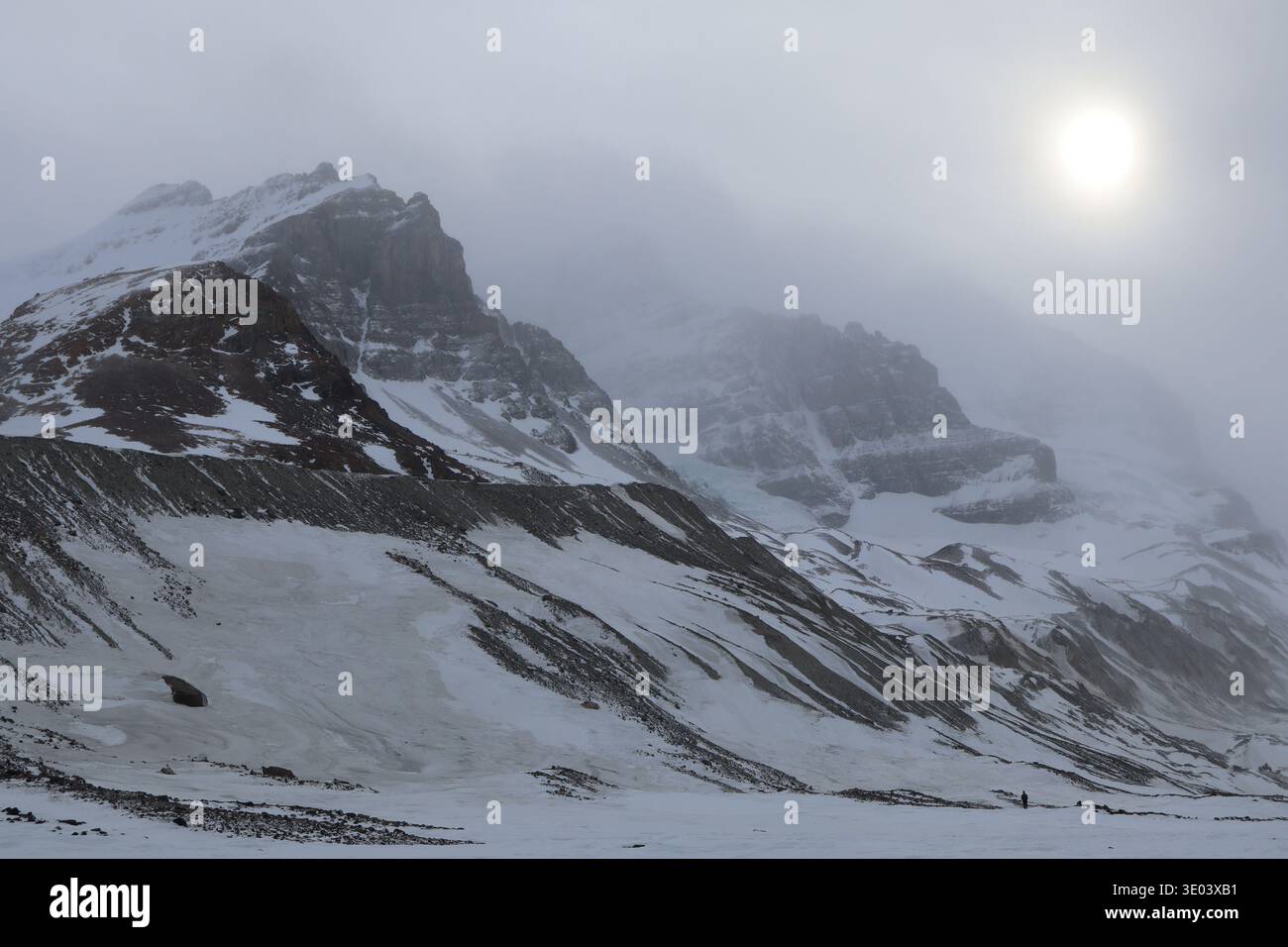 Athabasca Gletscher Stockfoto