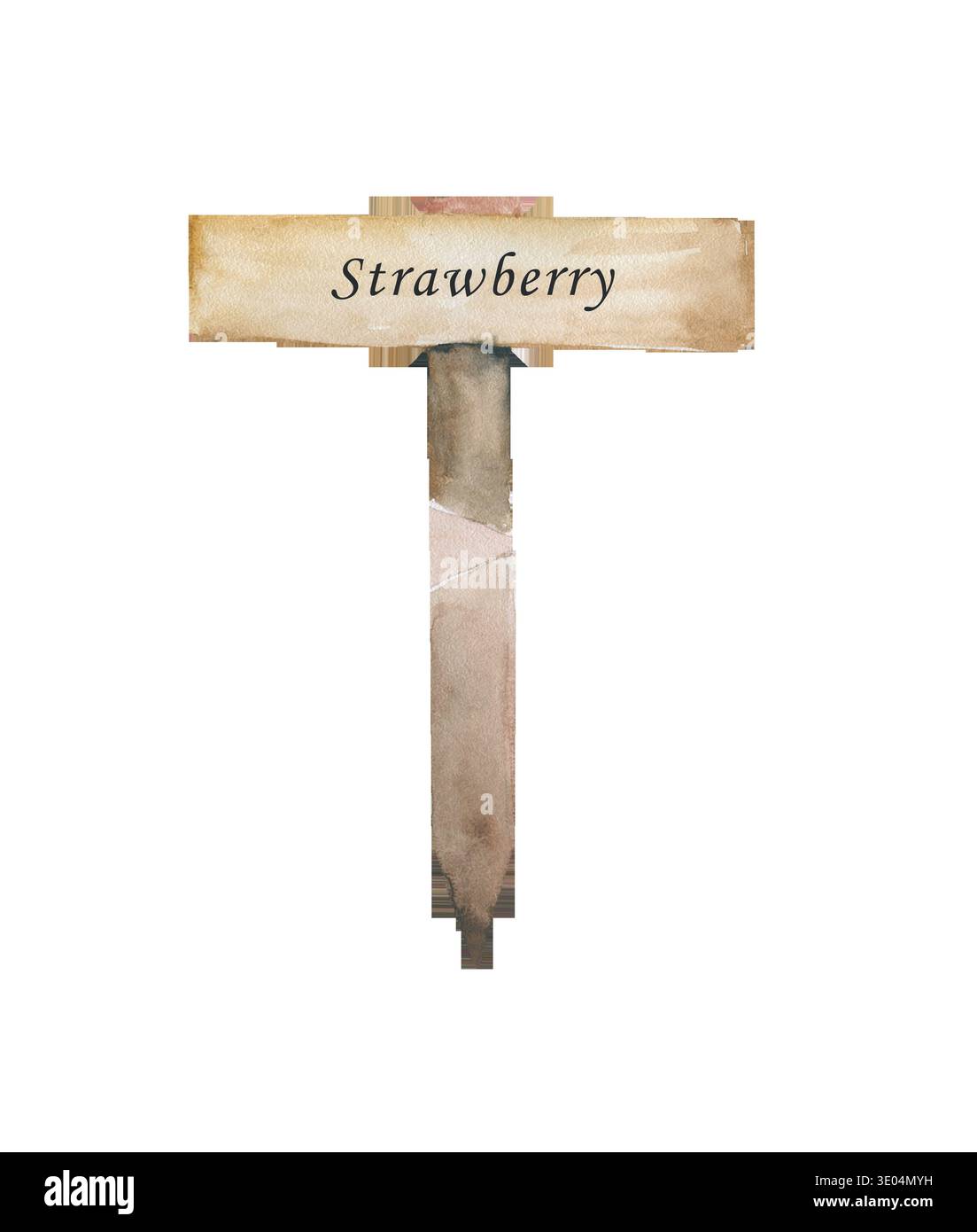 Hölzernes Gartenpflanzenschild mit Erdbeertext für Gemüsegartenbeet isoliert Stockfoto