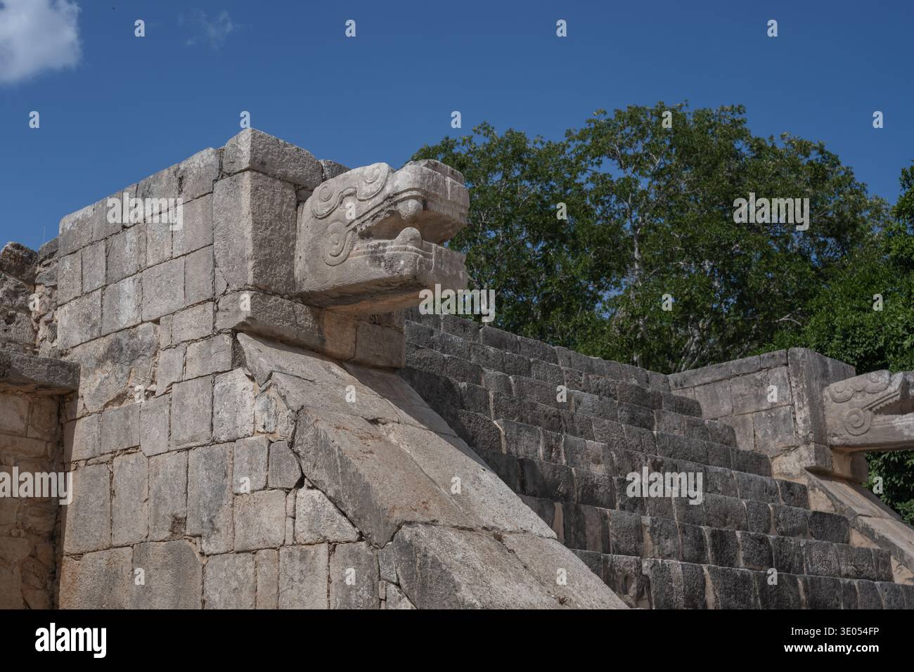 Stein Schlangenkopf Detail der Venus Plattform - Chichen Itza, Yucatan, Mexiko Stockfoto