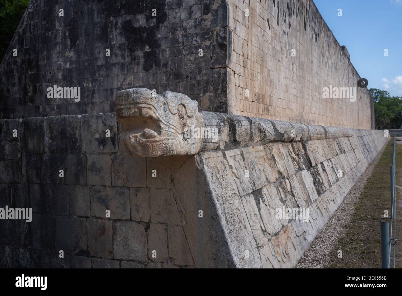 Stein Schlange Kopf Detail des Großen Ballhofs - Chichen Itza, Yucatan, Mexiko Stockfoto