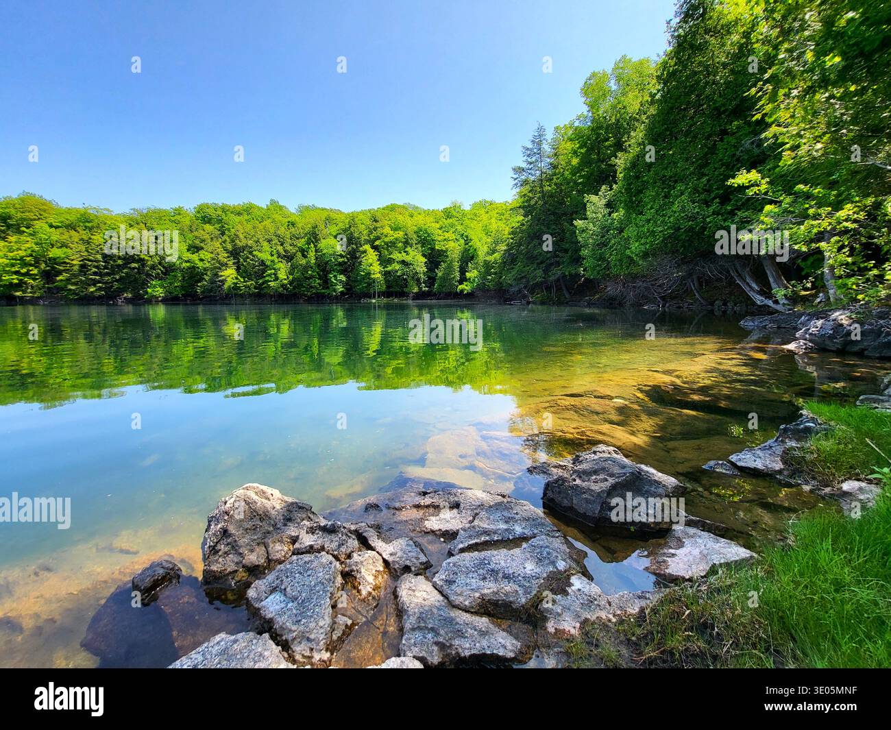 Ein Sommertag an einem klaren Blauen See, umgeben von einem lebhaften grünen Wald - Smartphone-aufgenommenes Stockfoto