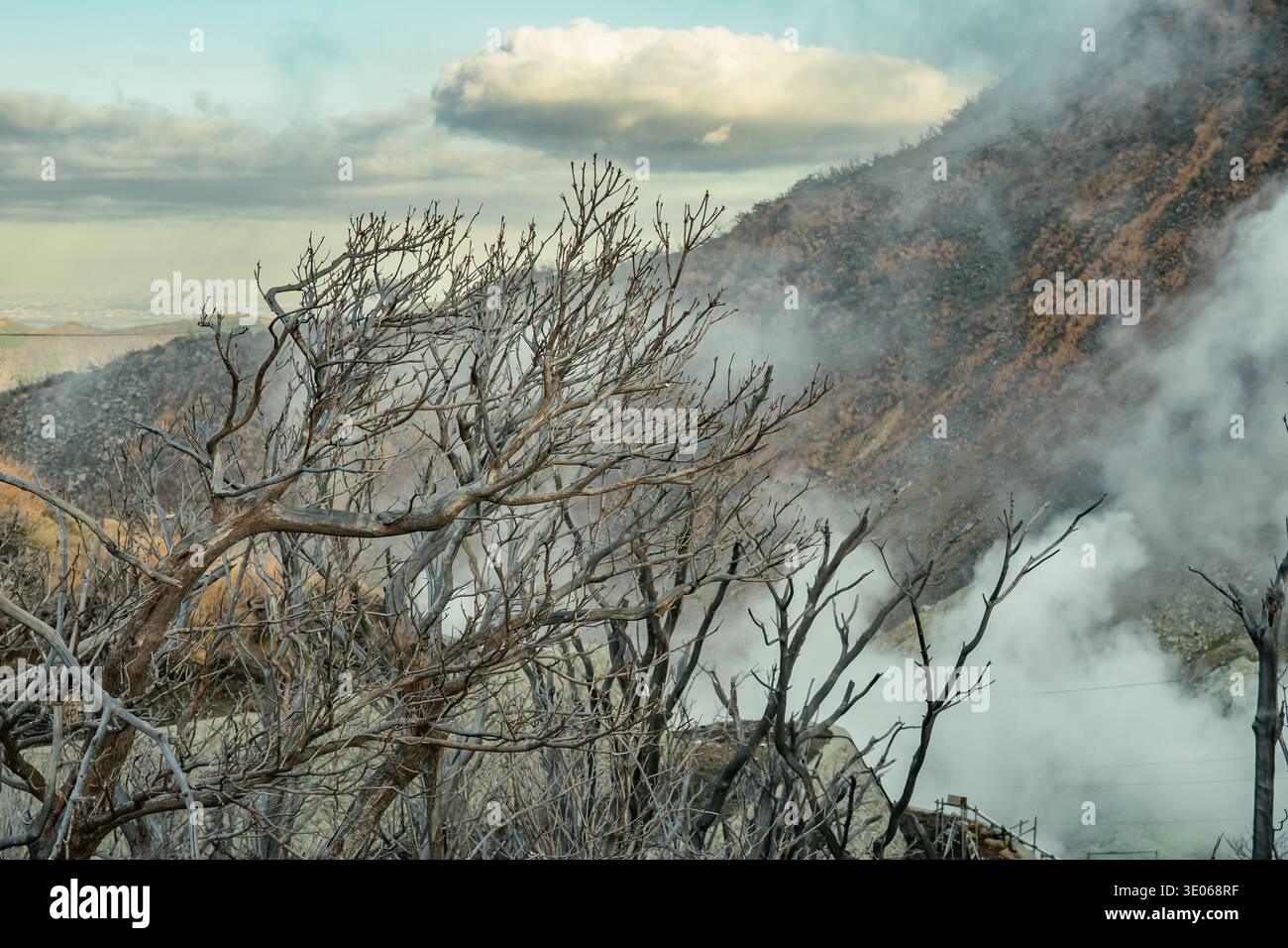 Blattlose Baum- und Schwefeldämpfe im Owakudani Volcanic Valley Hakone, Japan Stockfoto