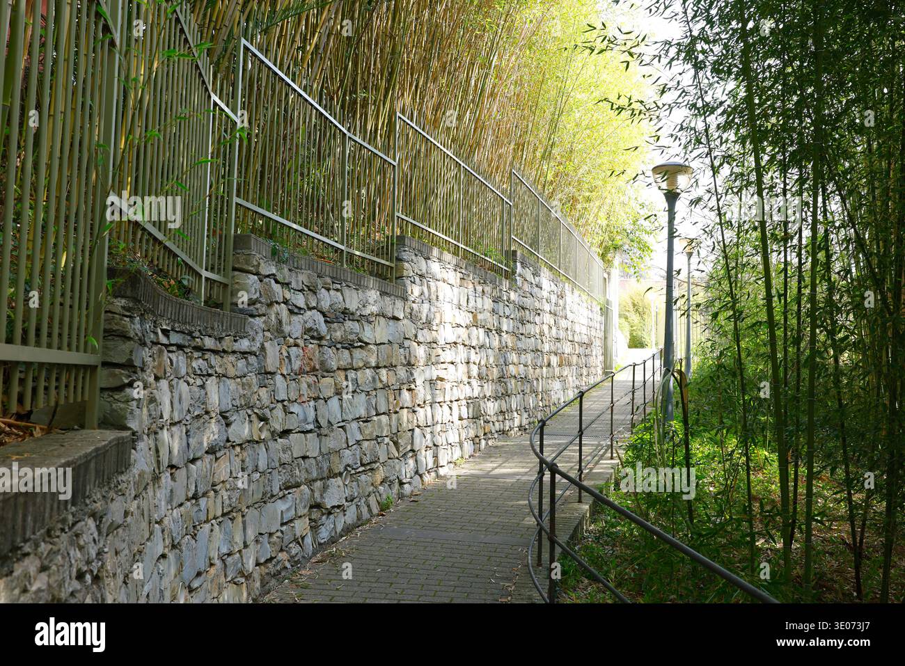 Malerischer Steinweg durch üppige Bambushaine im Parco di Villa Rocca. Perspektivische Aufnahme des schmalen, gemauerten Gehwegs, der von hohem rustikalem Stein begrenzt wird Stockfoto