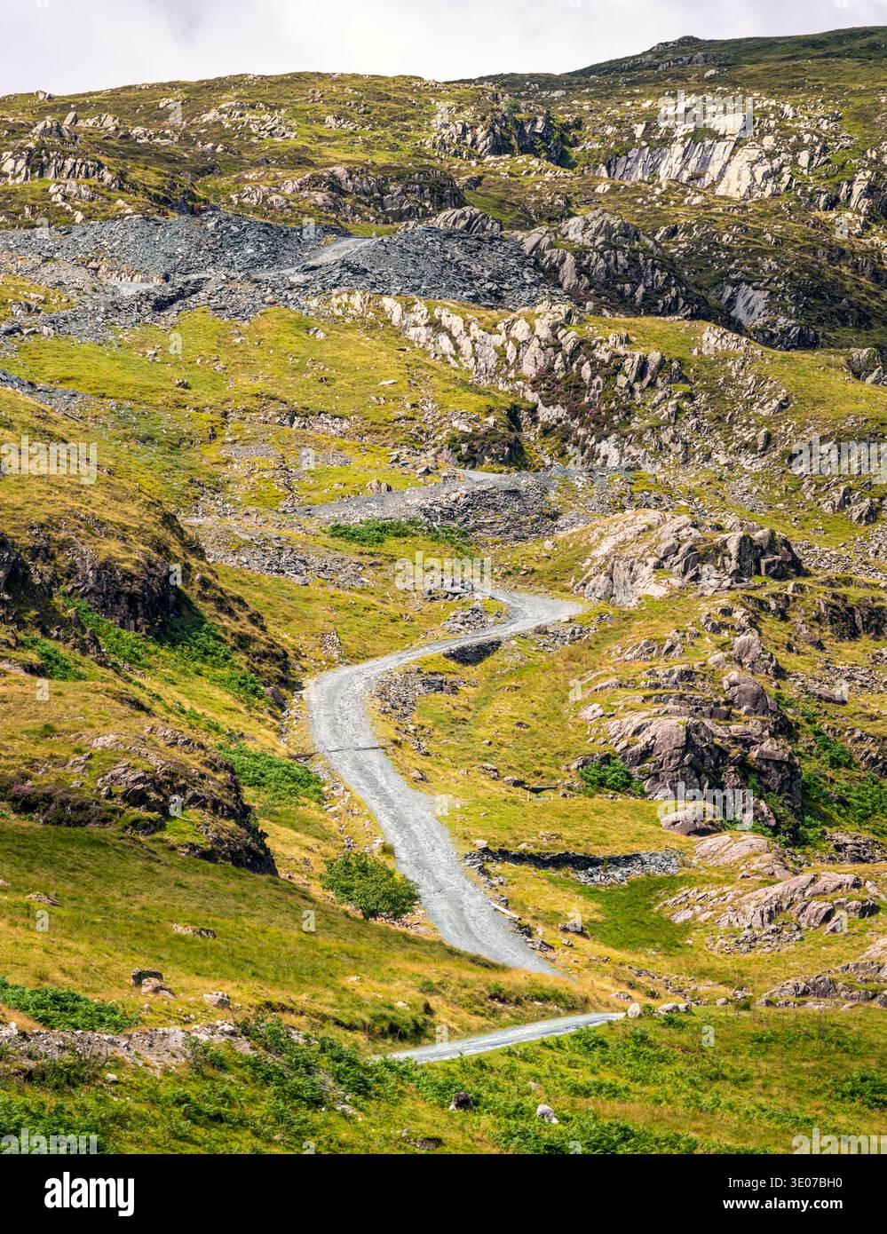 Dramatische Landschaft mit steiler kurviger Straße, die an einem warmen, sonnigen Mittsommertag einen felsigen Berg von Cumbrian hinaufführt. Stockfoto