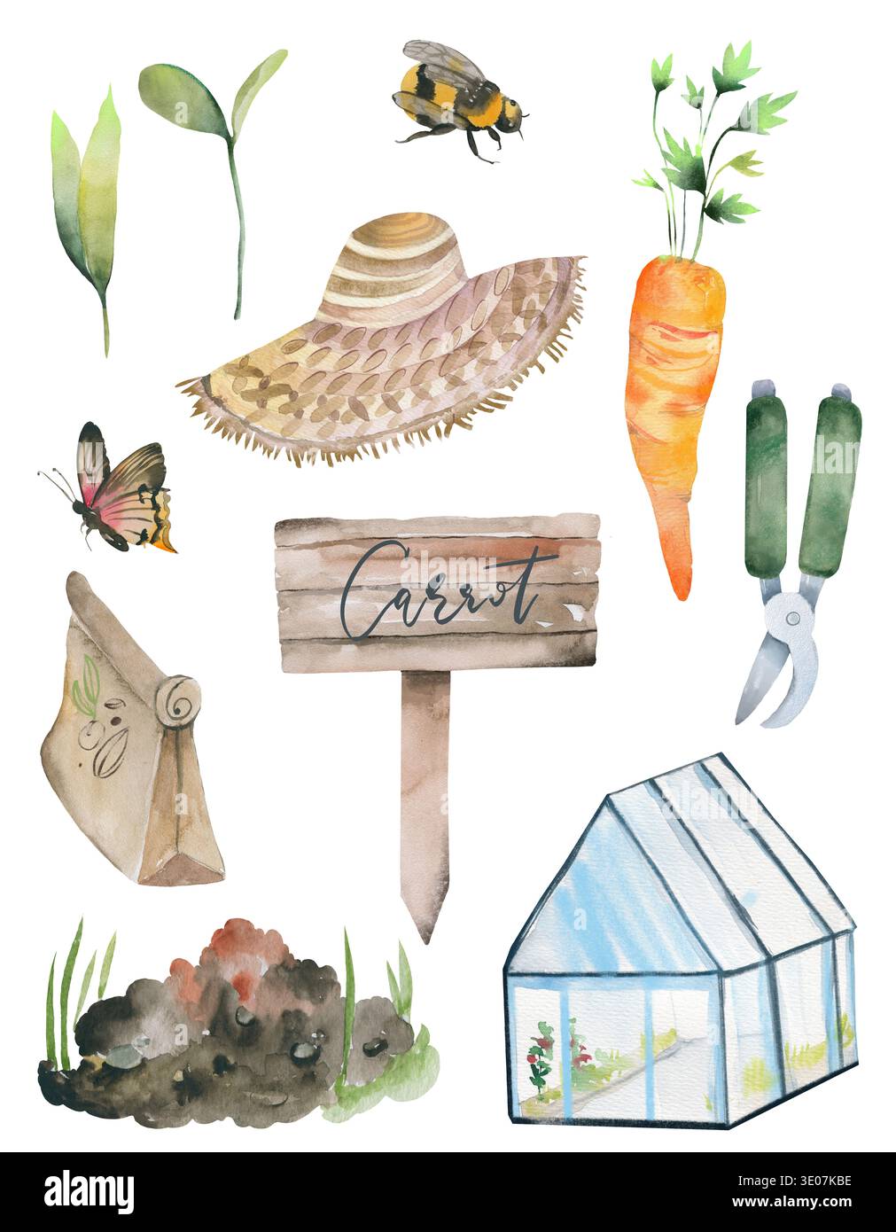 Frühlingsgemüse Garten Karotte Pflanze Haus Gartenarbeit Elemente Stockfoto