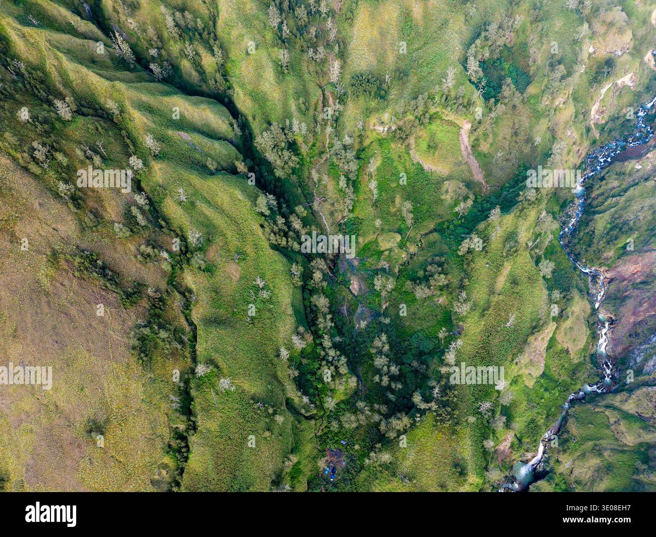 Blick von oben auf eine tiefgrüne Bergschlucht, einen sich windenden Fluss und verstreute Bäume Stockfoto