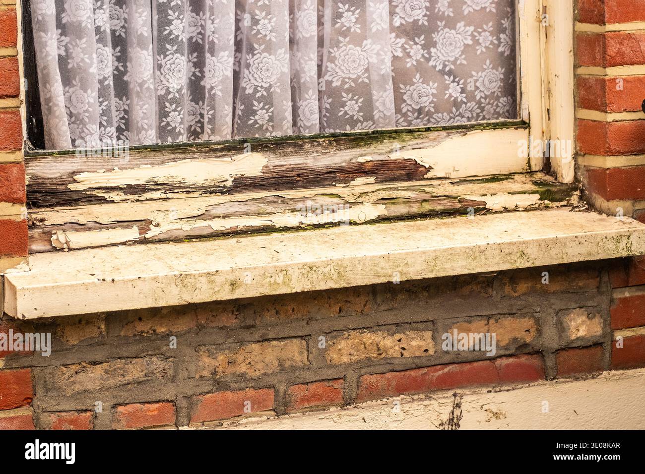 LONDON: Verrottetes, abblätterndes Holzfenster an der Außenfassade des roten Backsteinhauses Stockfoto