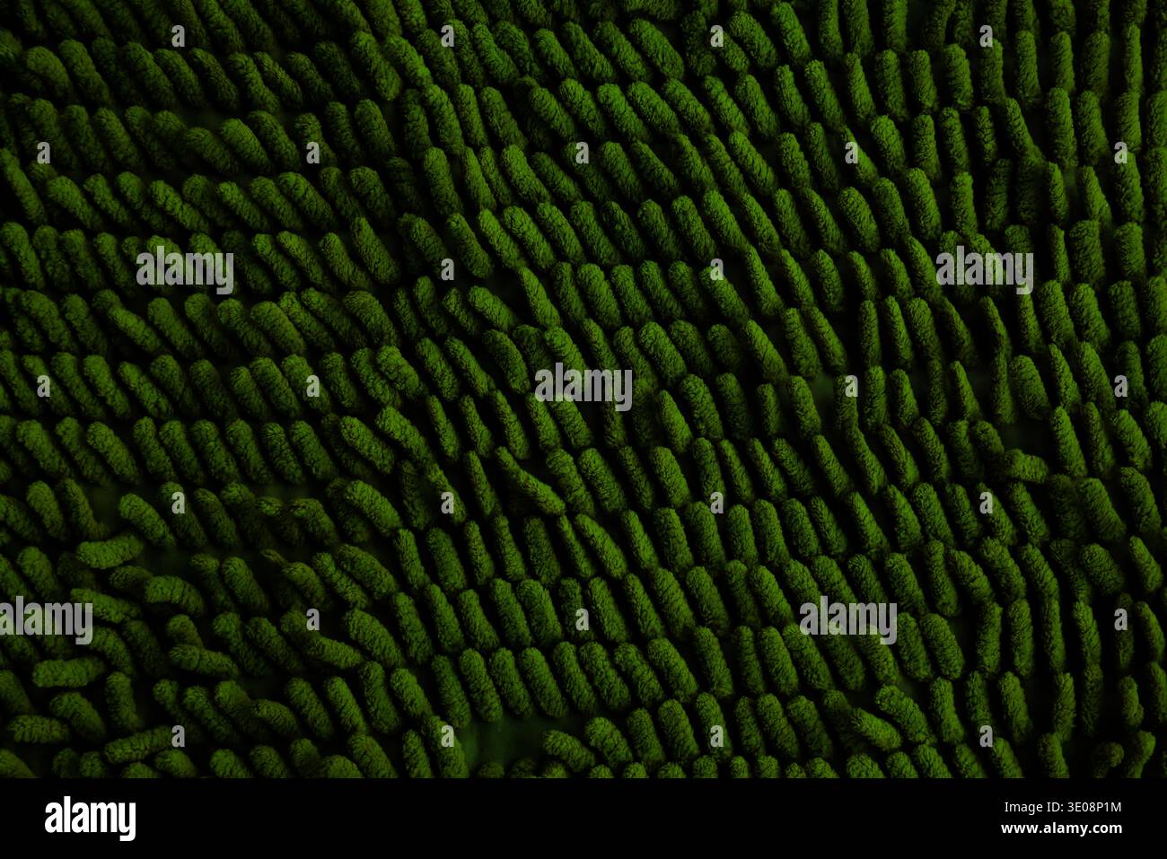 Tiefgrünes, waldgrünes Mikrofasergewebe. Perfekt für biophiles Design, nachhaltige Produkthintergründe, umweltfreundliches Branding und organische Oberflächen. Stockfoto