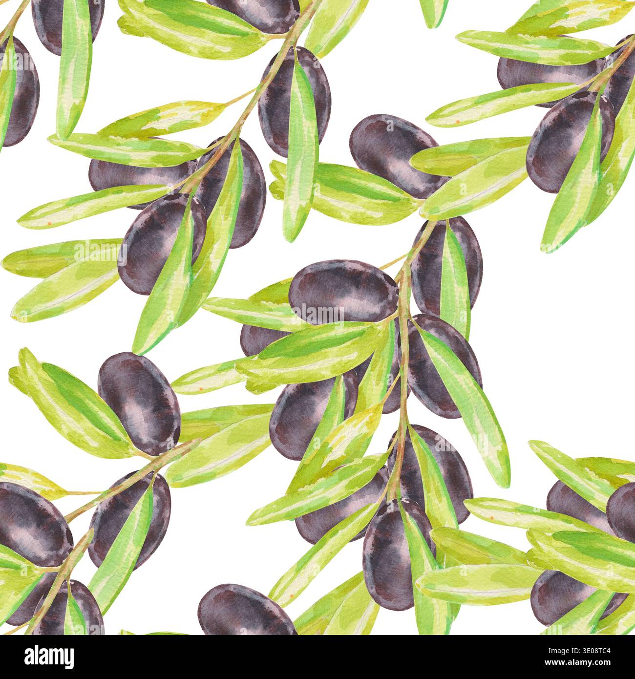Nahtloses Aquarellmuster mit Olivenzweigen mit schwarzen Oliven und grünen Blättern auf weiß. Perfekt für mediterrane Lebensmittelverpackungen, Olivenöl Stockfoto
