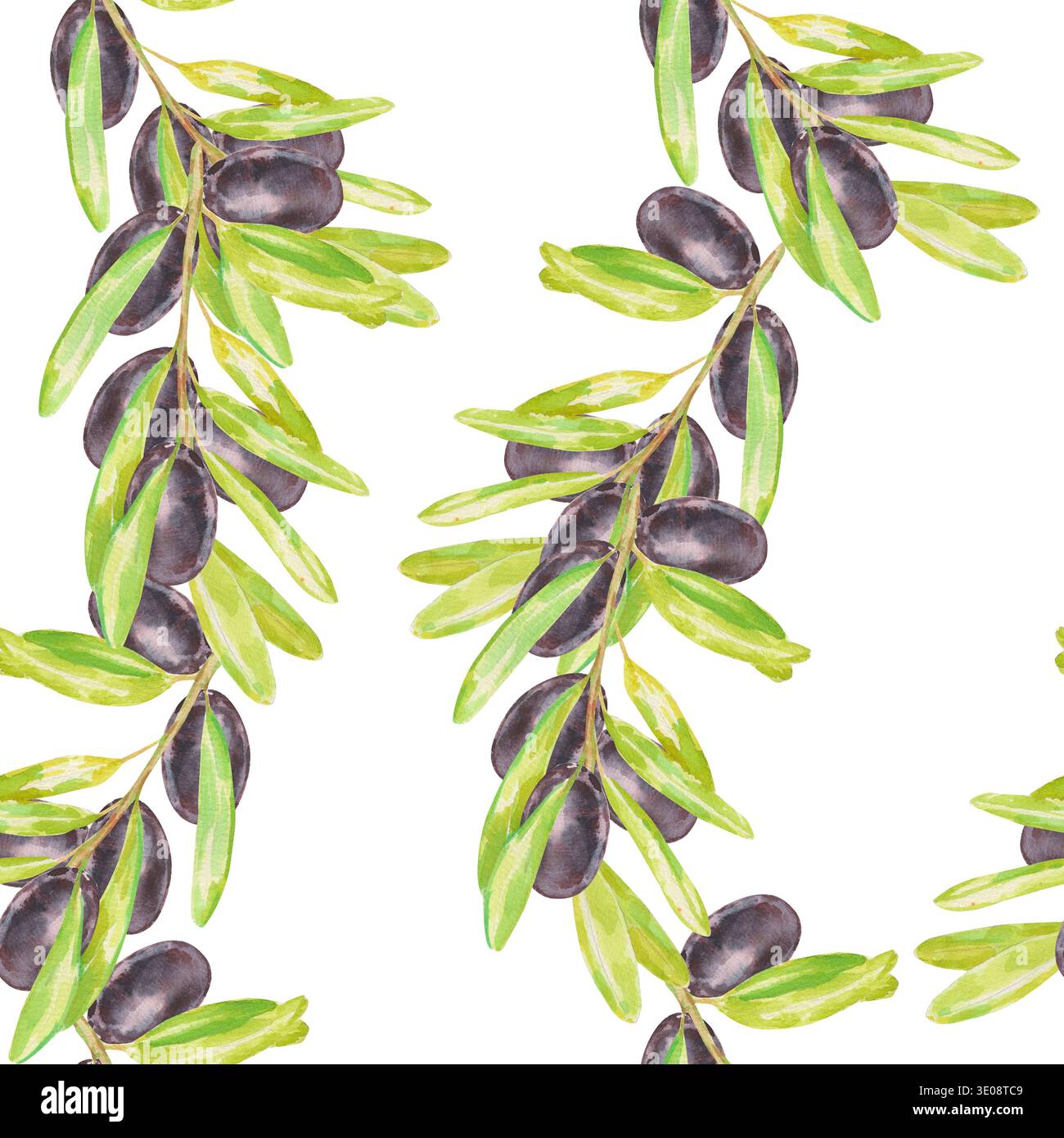Nahtloses Aquarellmuster mit Olivenzweigen mit schwarzen Oliven und grünen Blättern auf weiß. Perfekt für mediterrane Lebensmittelverpackungen, Olivenöl Stockfoto